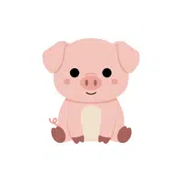Mini Pig
