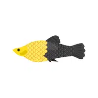 Mollie Fish
