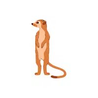 Mongoose