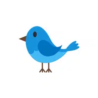 Mynah Bird