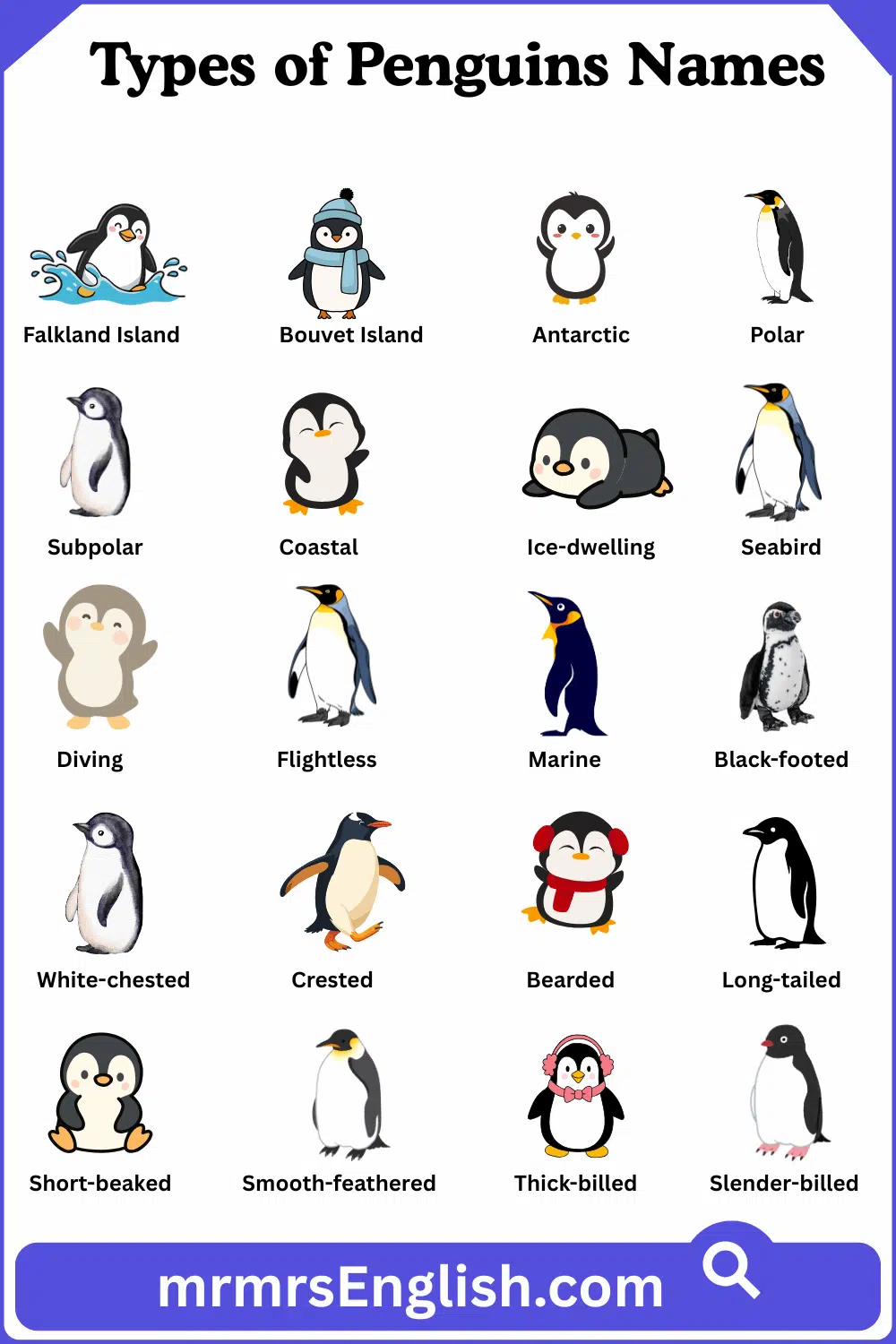 Type of Penguin Name and Pictures