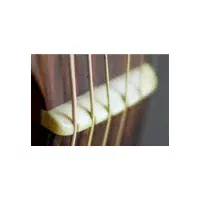 Nut | Guitar​ Parts Names in English