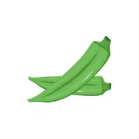 Okra | Low Sugar Vegetables Names in English