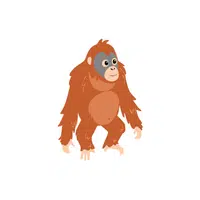 Orangutan | Forest Animals Names in English