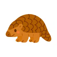 Pangolin 
