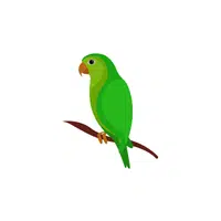 Parrot | Pet Animals Names in English