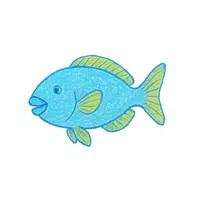 Parrotfish | Pet Animals Names in English