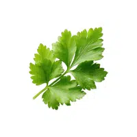 Parsley | Low Sugar Vegetables Names in English