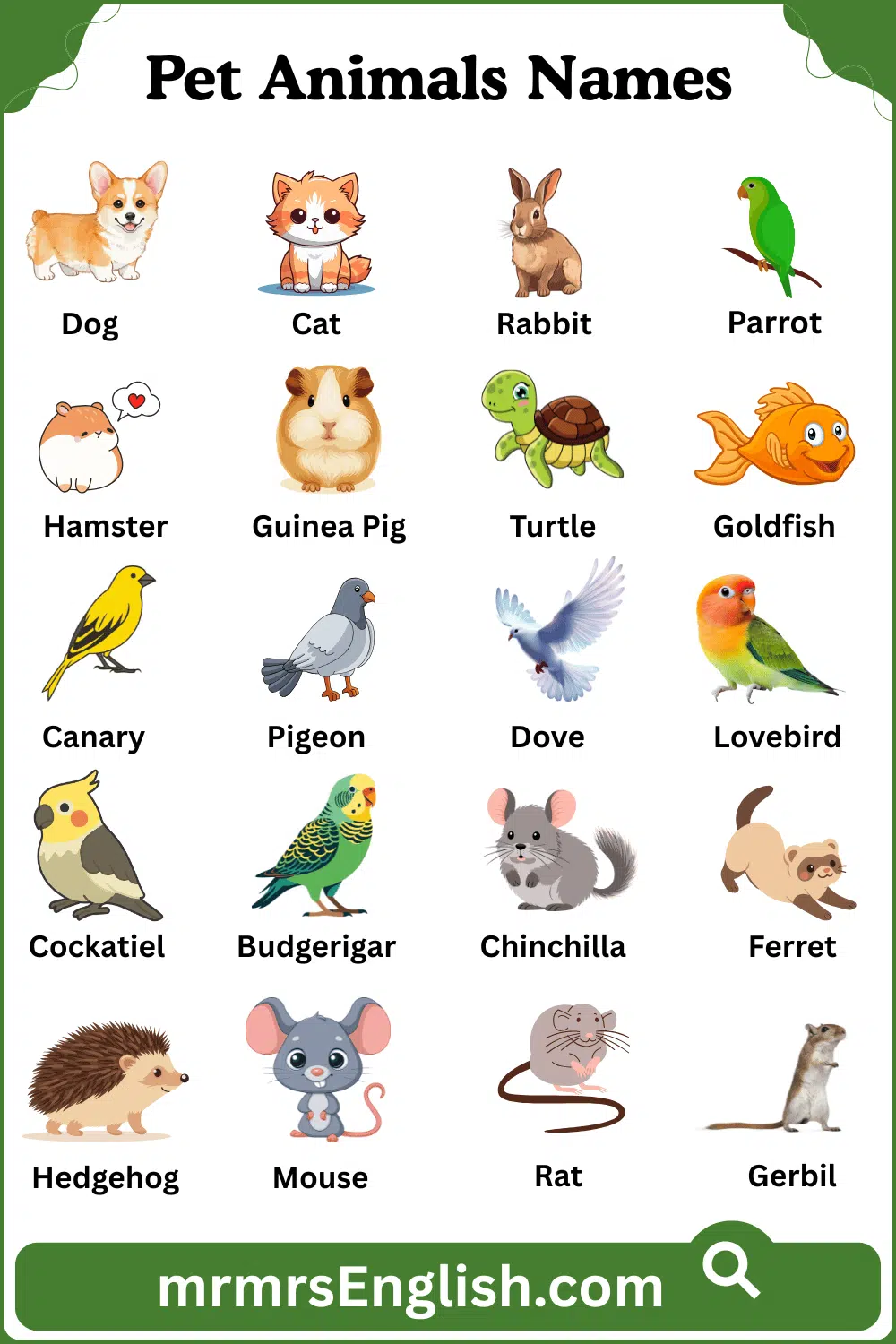 Pet Animals Names in English with their Pictures