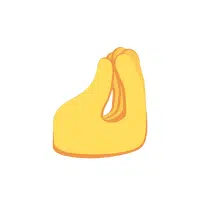Pinching Hand | Hand Emojis Names