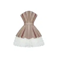 Pleated | Mini Dresses Names