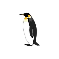 Polar | Types of Penguins Names in English
