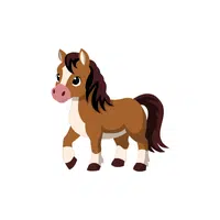 Pony | Pet Animals Names in English