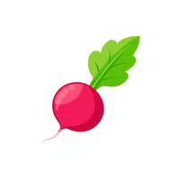 Radish | Low Sugar Vegetables Names in English