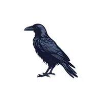 Raven 