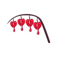Red Bleeding Heart