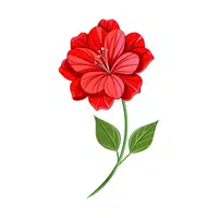 Red Geranium