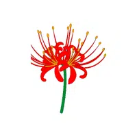 Red Lily | Red Flowers Names in English