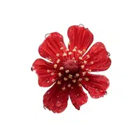 Red Scabiosa | Red Flowers Names in English