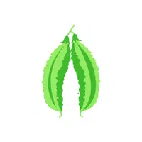  Ridge Gourd | Low Sugar Vegetables Names in English