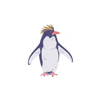 Rockhopper