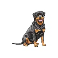  Rottweiler | Pet Animals Names in English