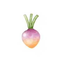 Rutabaga | Low Sugar Vegetables Names in English