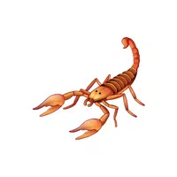 Scorpion | Pet Animals Names in English