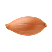 Shallot | Low Sugar Vegetables Names in English