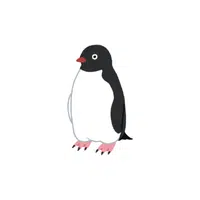 Slender-billed | Types of Penguins Names in English