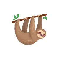 Sloth | Forest Animals Names in English