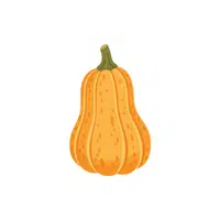 Spaghetti Squash