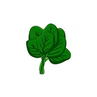 Spinach | Low Sugar Vegetables Names in English