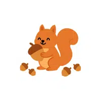 Squirrel | Forest Animals Names in English