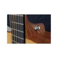 Strap Button | Guitar​ Parts Names in English