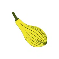 Summer Squash | Low Sugar Vegetables Names in English