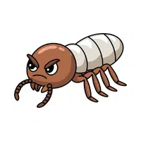 Termite | Forest Animals Names in English