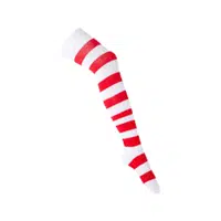 Thigh-High | Socks Names in English