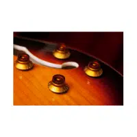 Tone Knob | Guitar​ Parts Names in English