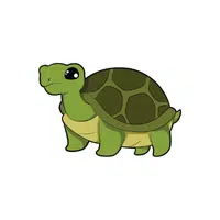 Tortoise