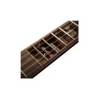 Truss Rod | Guitar​ Parts Names in English