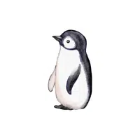 White-chested | Types of Penguins Names in English