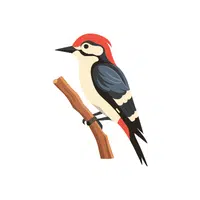 Woodpecker