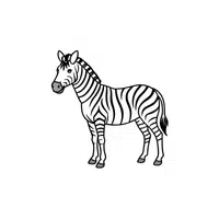 Zebra | Forest Animals Names in English