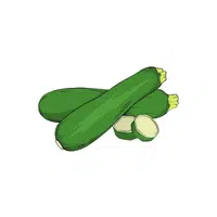 Zucchini | Low Sugar Vegetables Names in English