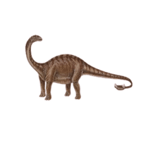 Apatosaurus | Prehistoric Animals Names