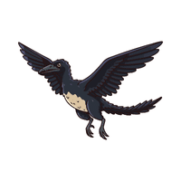 Archaeopteryx | Prehistoric Animals Names