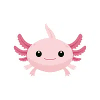 Axolotl