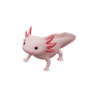 Axolotl