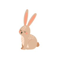 Bunny Rabbit